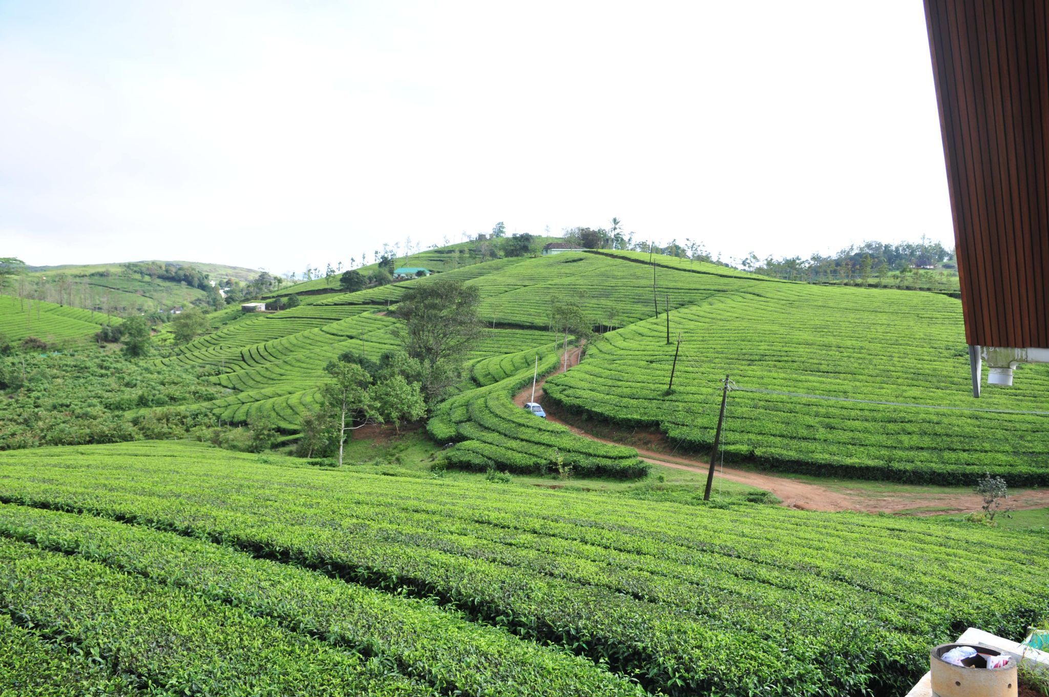 Kudaram County Resorts Green Tea 72