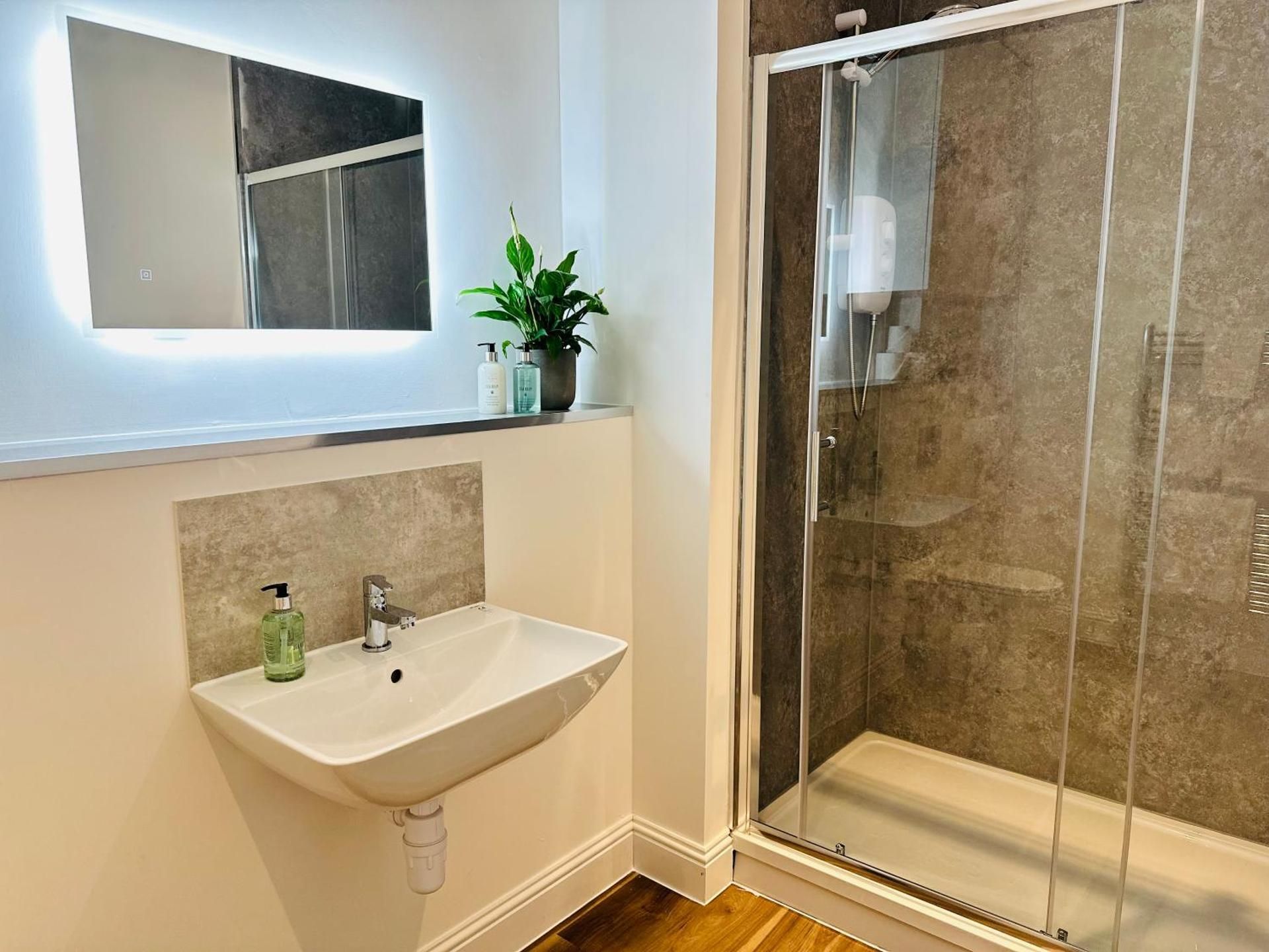 Deluxe One-Bedroom Apartment