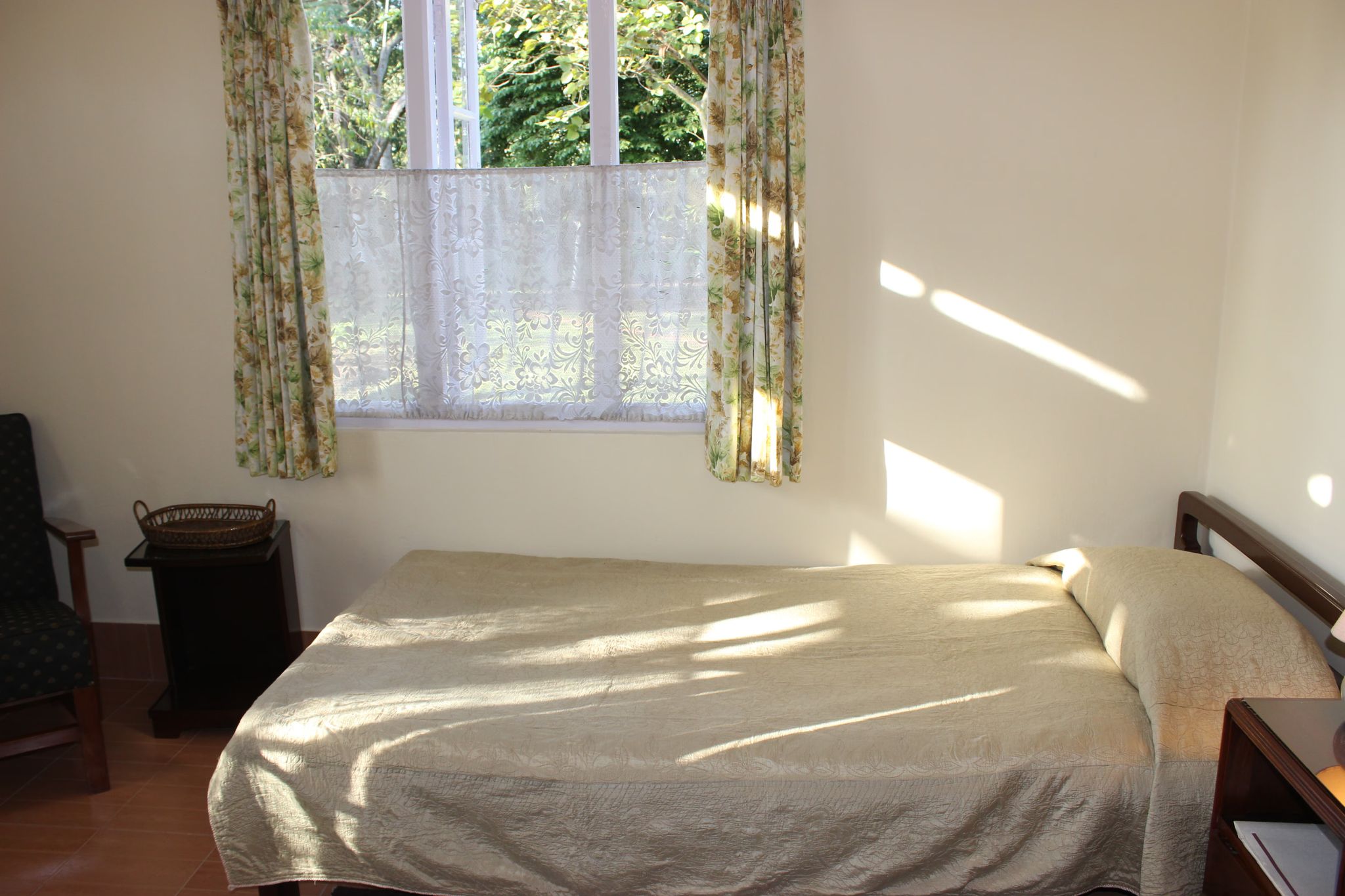 image_4565829_a22bb560-d403-46c3-9e92-379253cec1f2