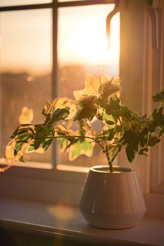 The Old Dairy Holiday Home Comfort House, Private Bathroom 13