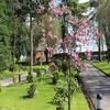 Briars Hall Hotel