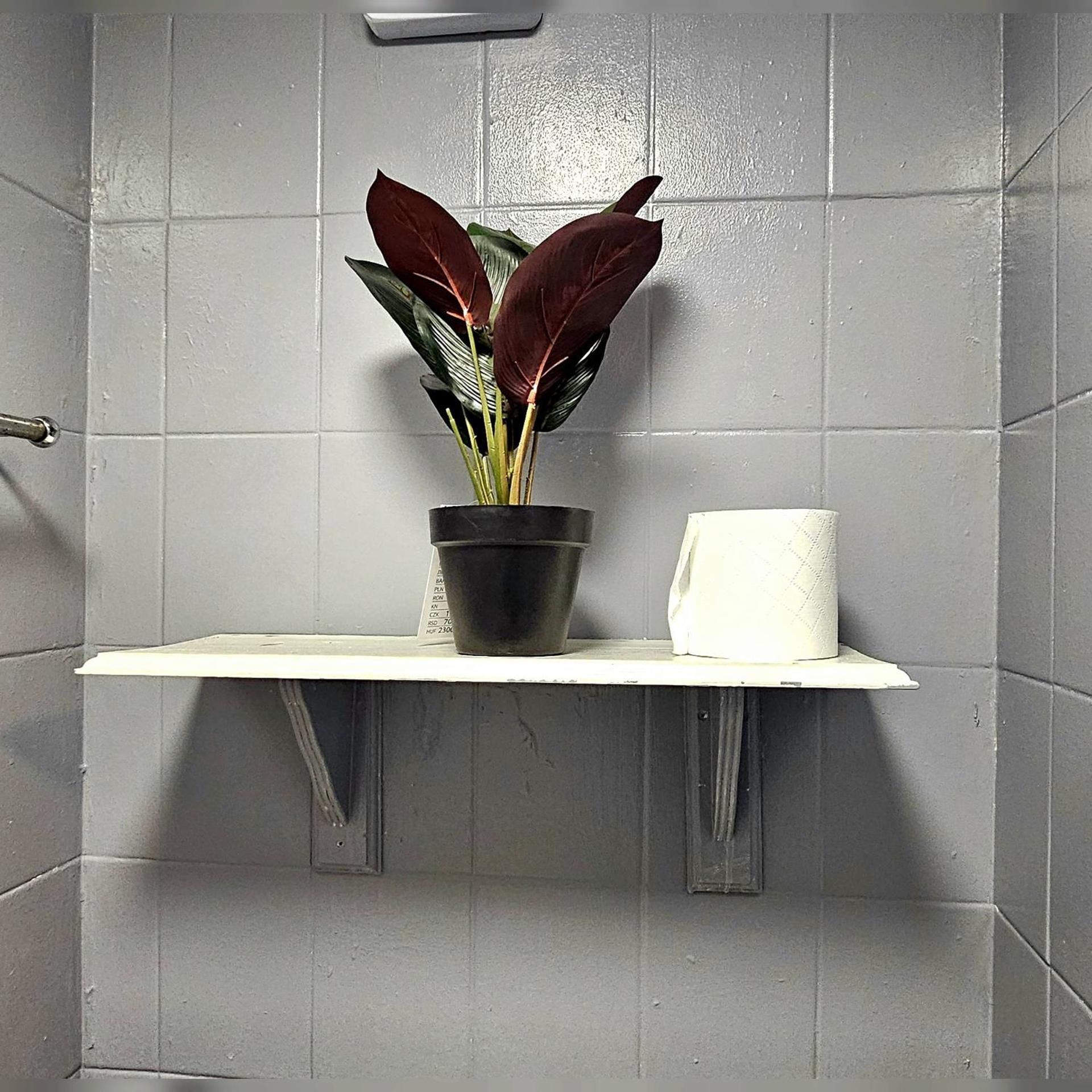 Double room-Standard-Ensuite with Shower-Courtyard view