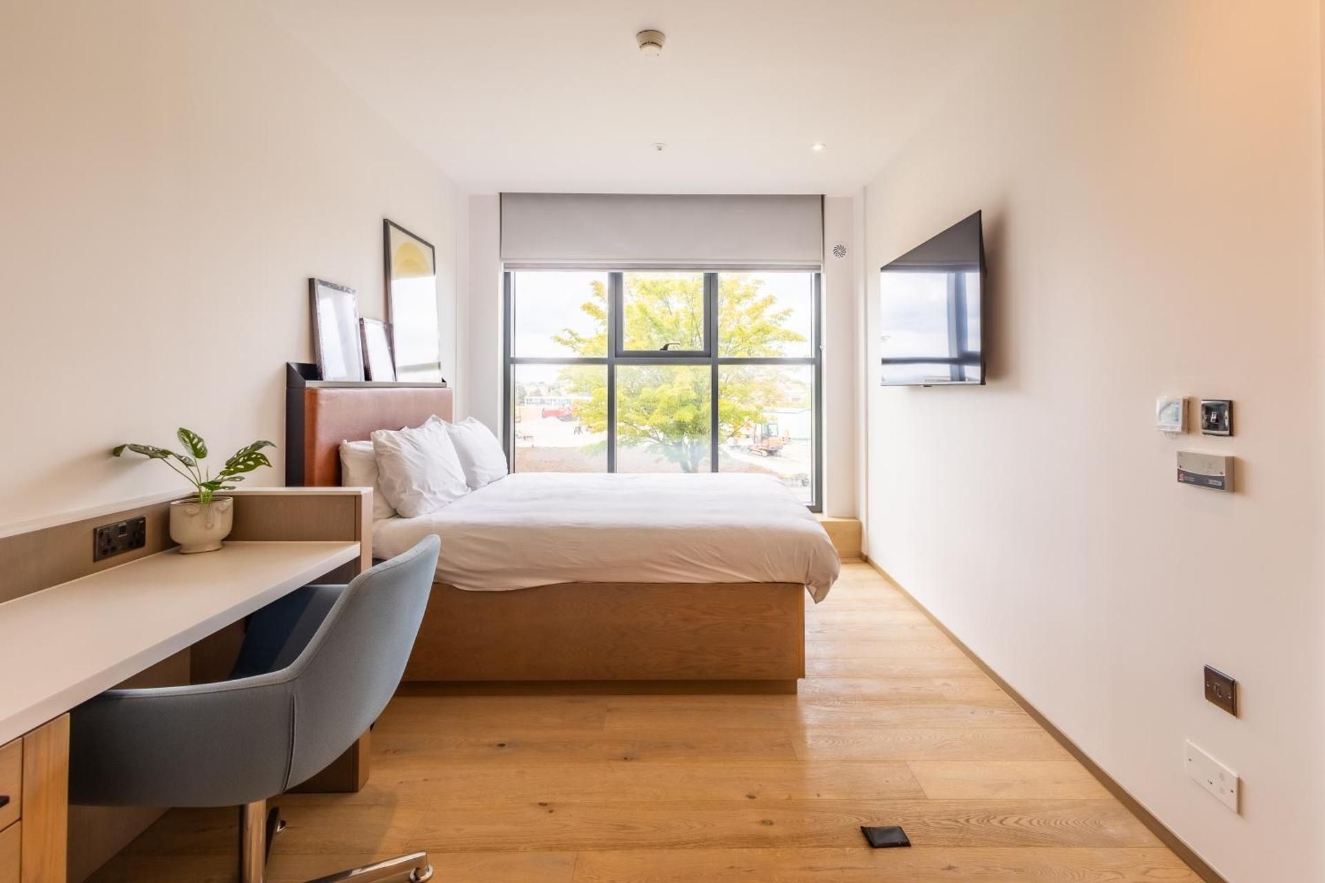 Classic One-Bedroom Apartment with King Bed
