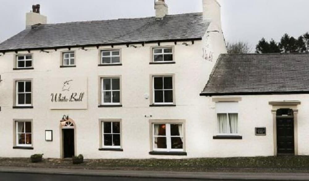 The White Bull