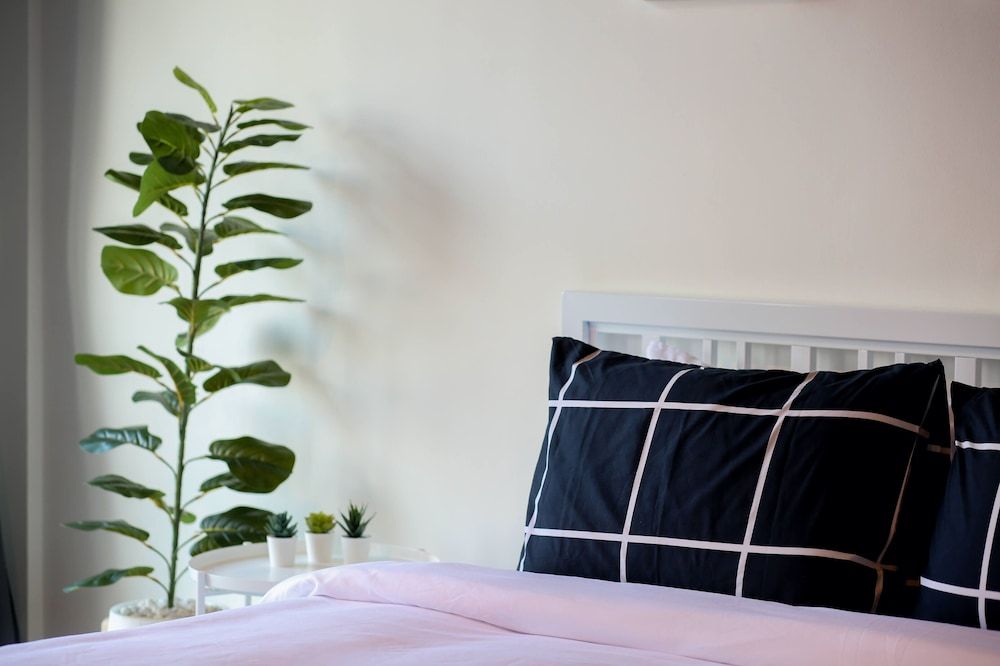 Black Turtle Double Room 5