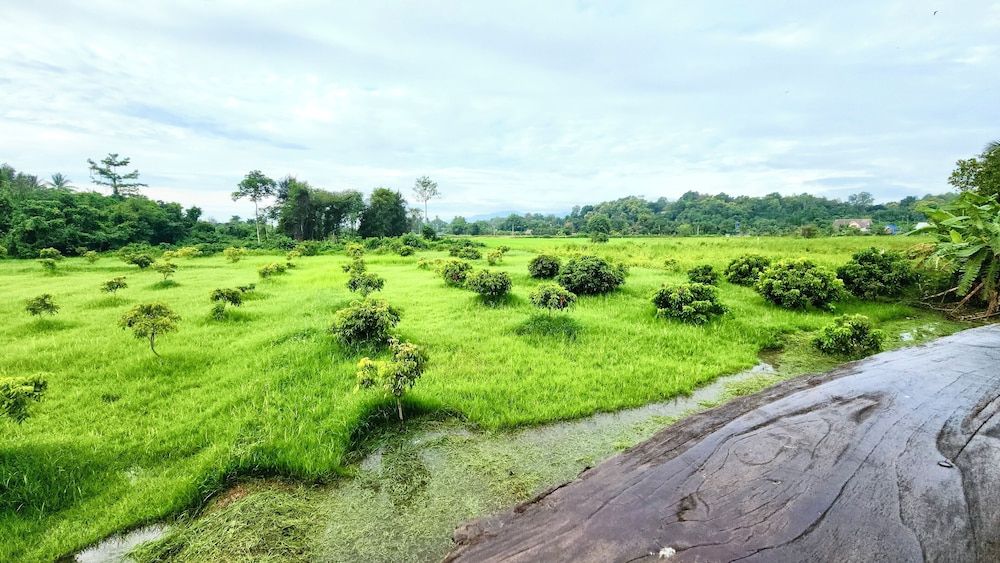 Natura Ravee Greenstay Cottage, 1 King Bed, Balcony, Hill View 7