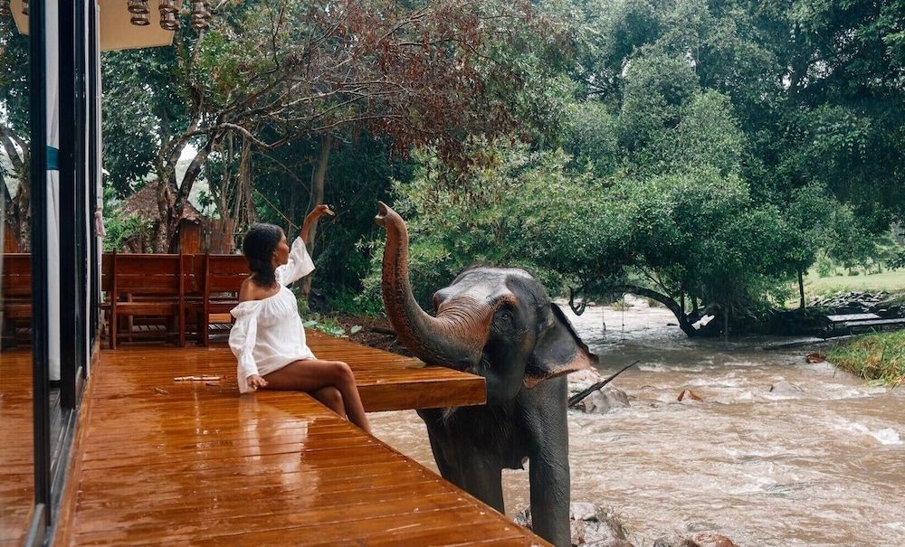 3Pok Resort Chiang Mai Quadruple Room, River View 11