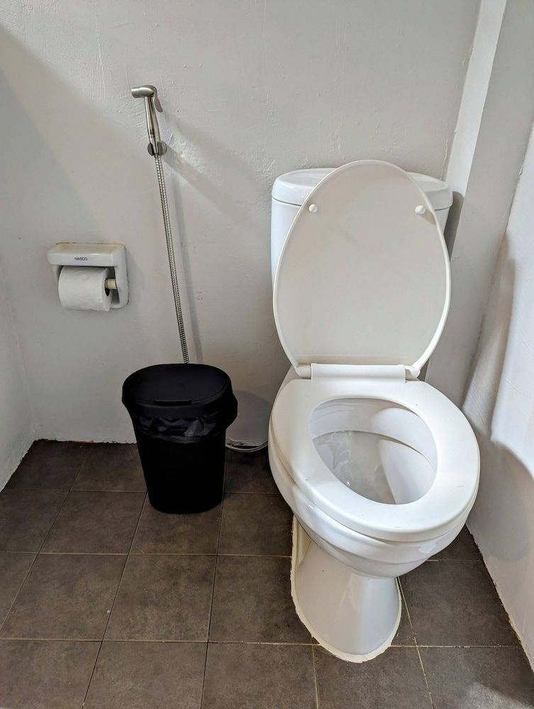 Ziggy Stardust Basic Cabin 6