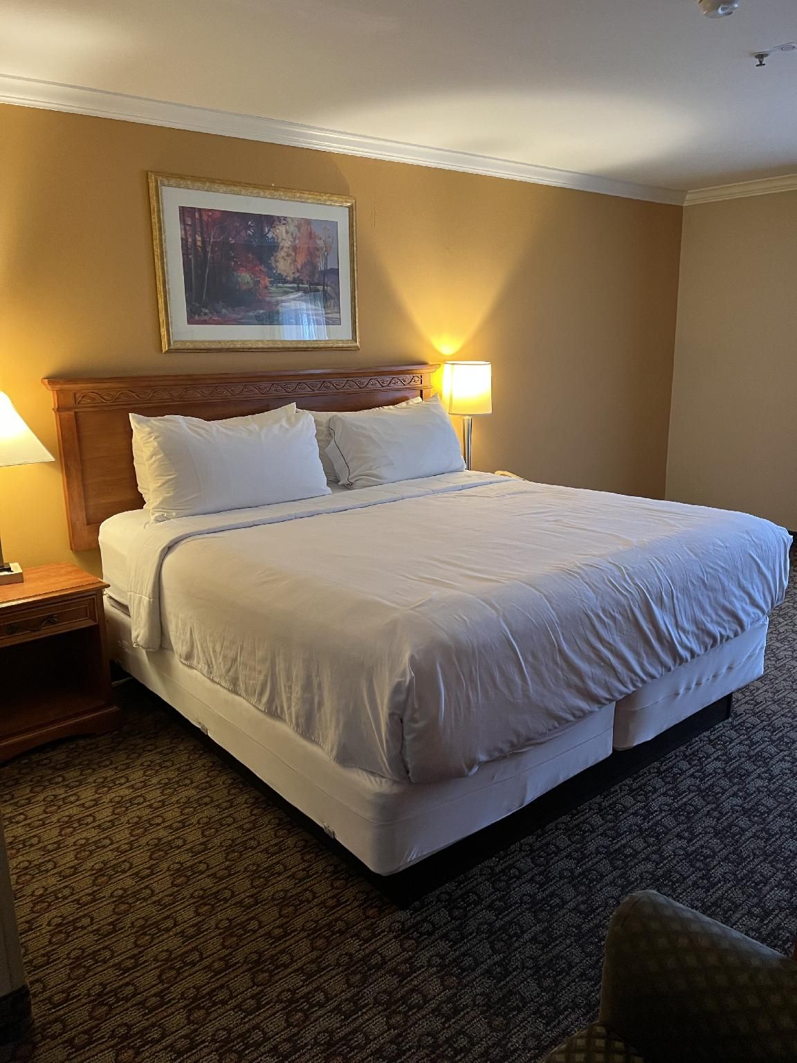 Hotel Xola Deluxe King Room - Non-Smoking