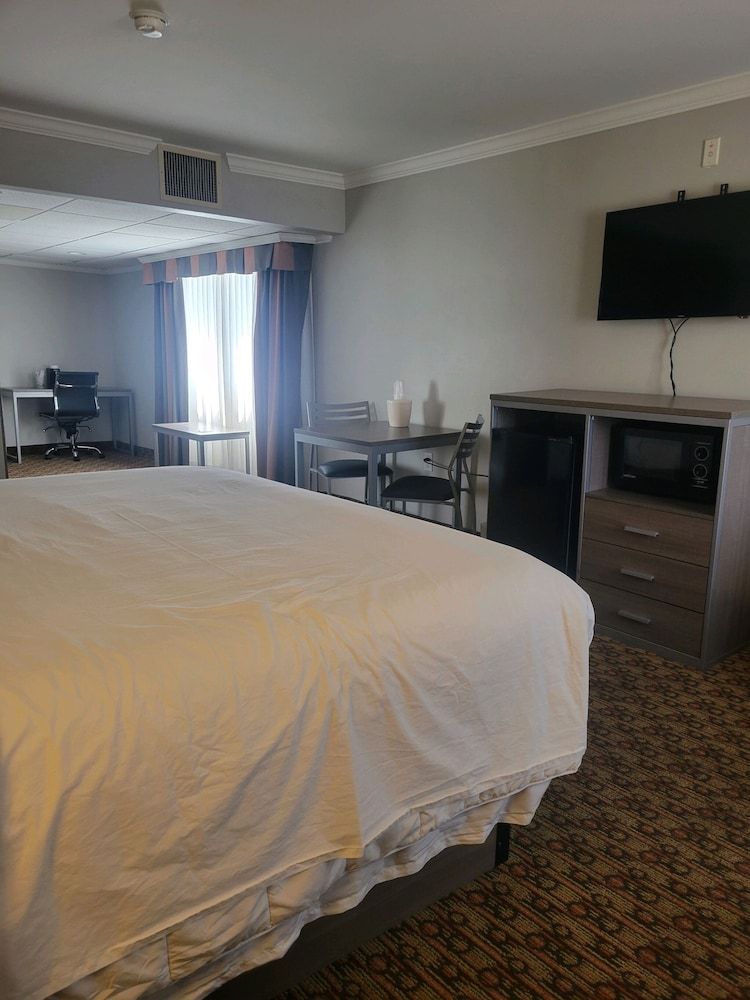 Hotel Xola Deluxe Room, 1 King Bed, Non Smoking 4