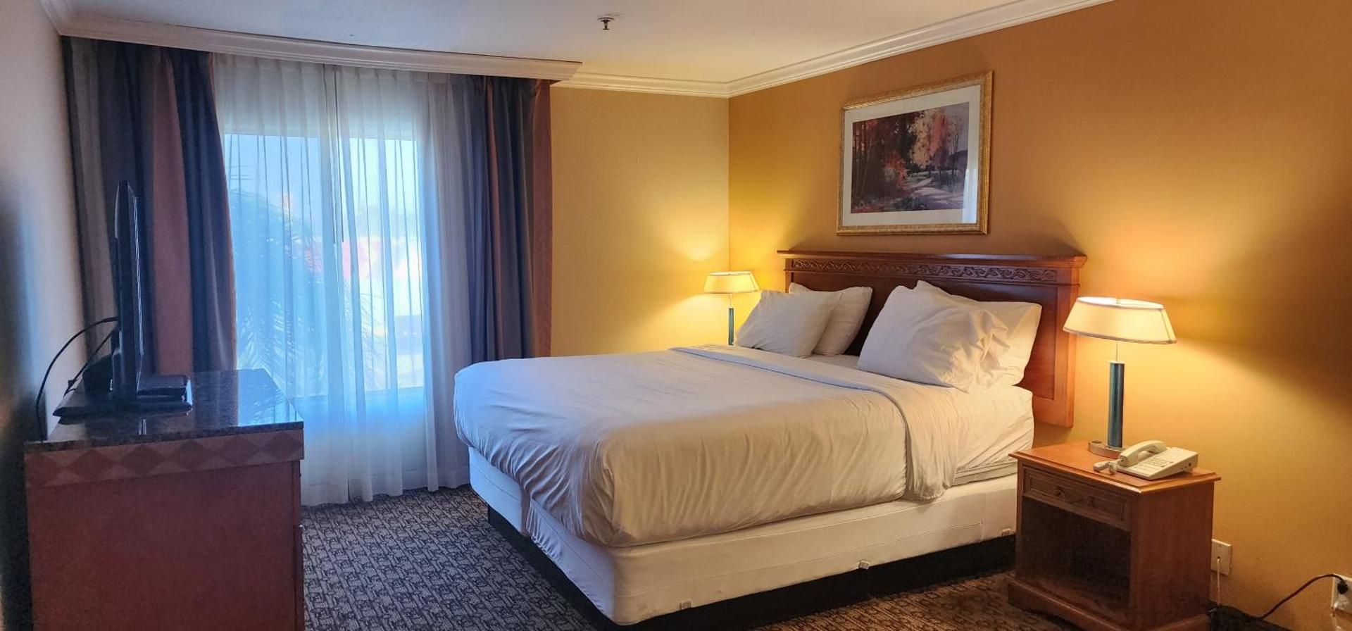 King Room - Non-Smoking