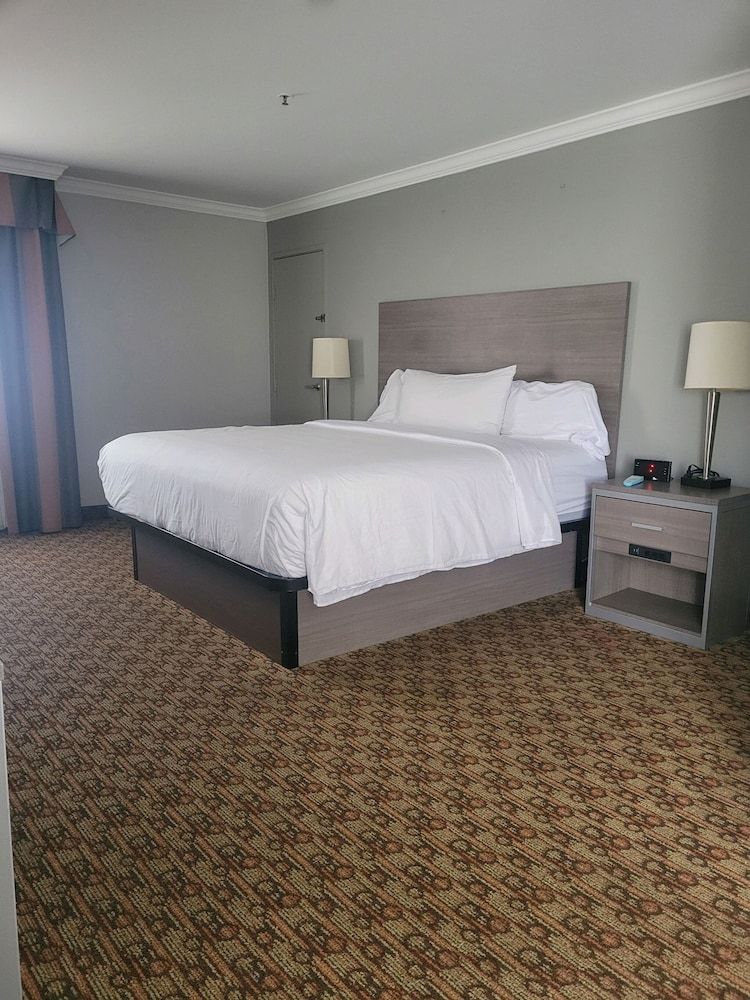 Hotel Xola Deluxe Room, 1 King Bed, Non Smoking 2