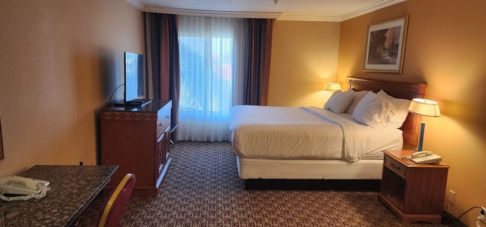 Hotel Xola Standard Room, 1 King Bed, Non Smoking 3