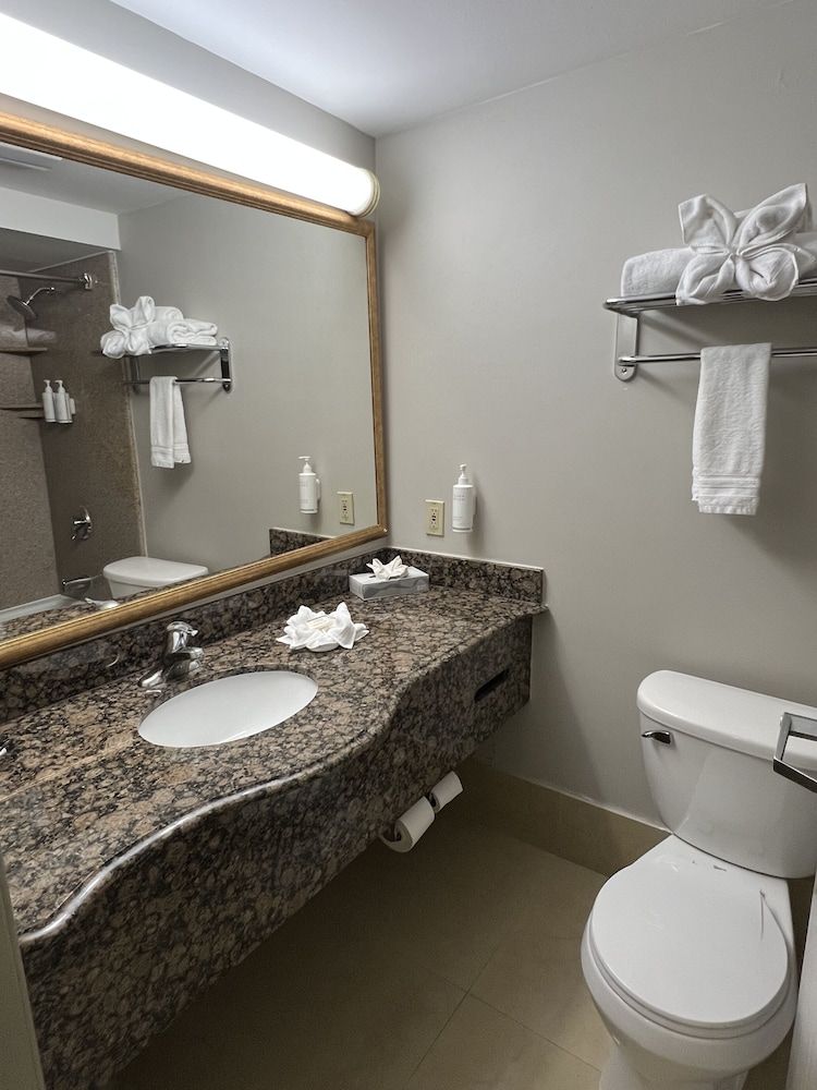 Hotel Xola Deluxe Room, 1 King Bed, Non Smoking 6