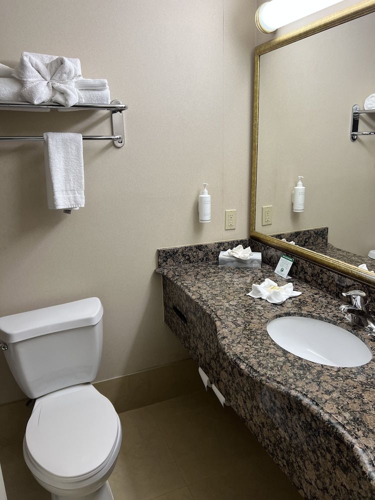 Hotel Xola Standard Room, 1 King Bed, Non Smoking 5