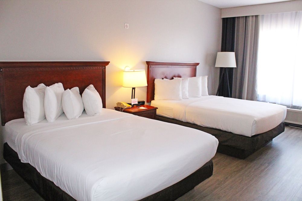 Comfort Double or Twin Room, 2 Queen Beds