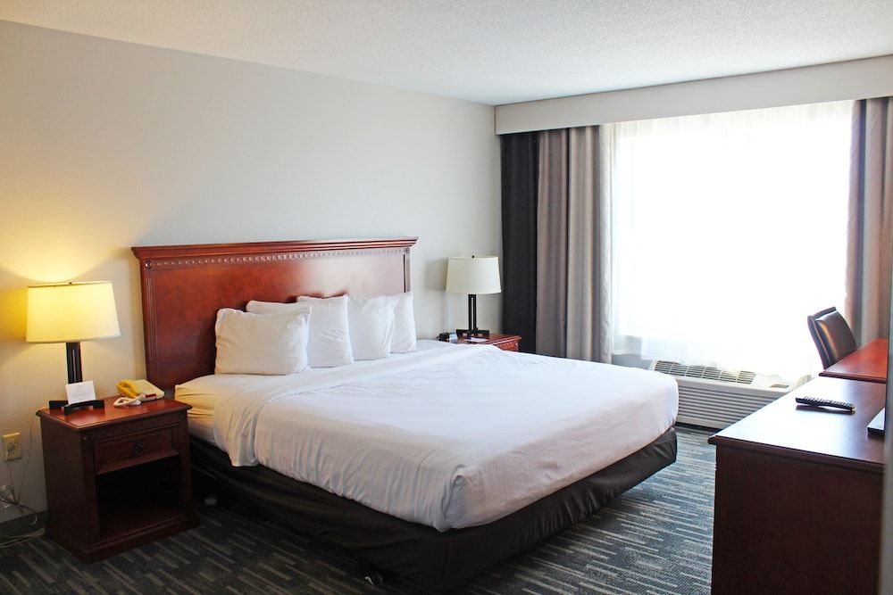 Deluxe Room, 1 King Bed with Sofa bed