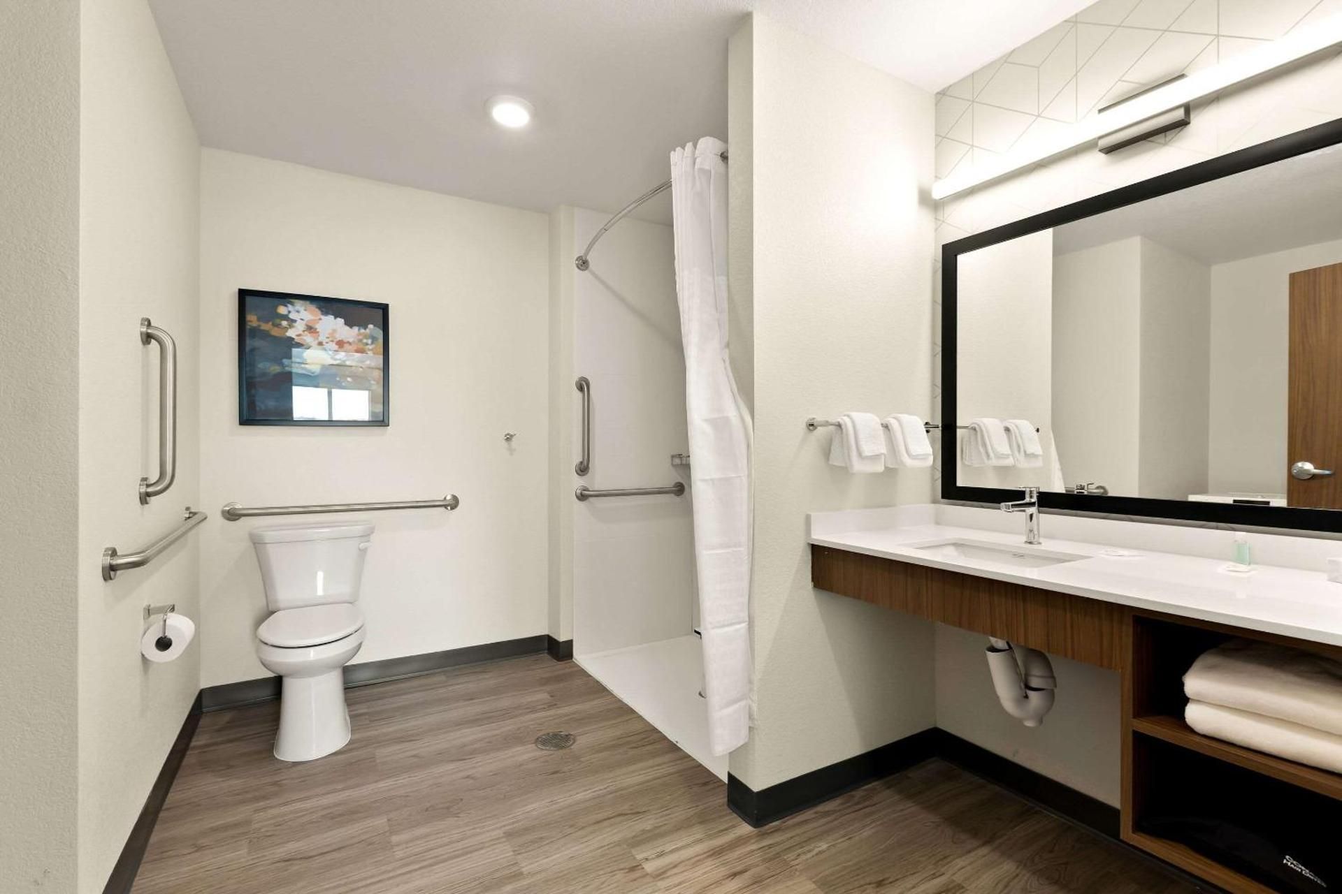 King Suite with Roll-In Shower/Disability Acces - Non Smoking