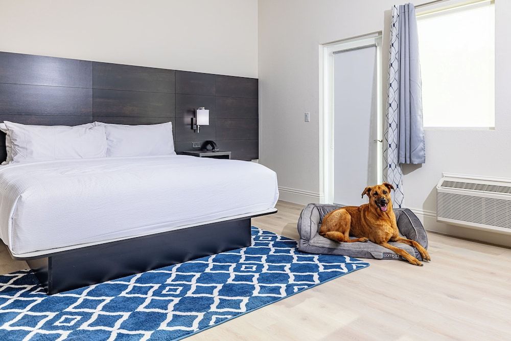 Grant Street Inn Deluxe Single Room 2