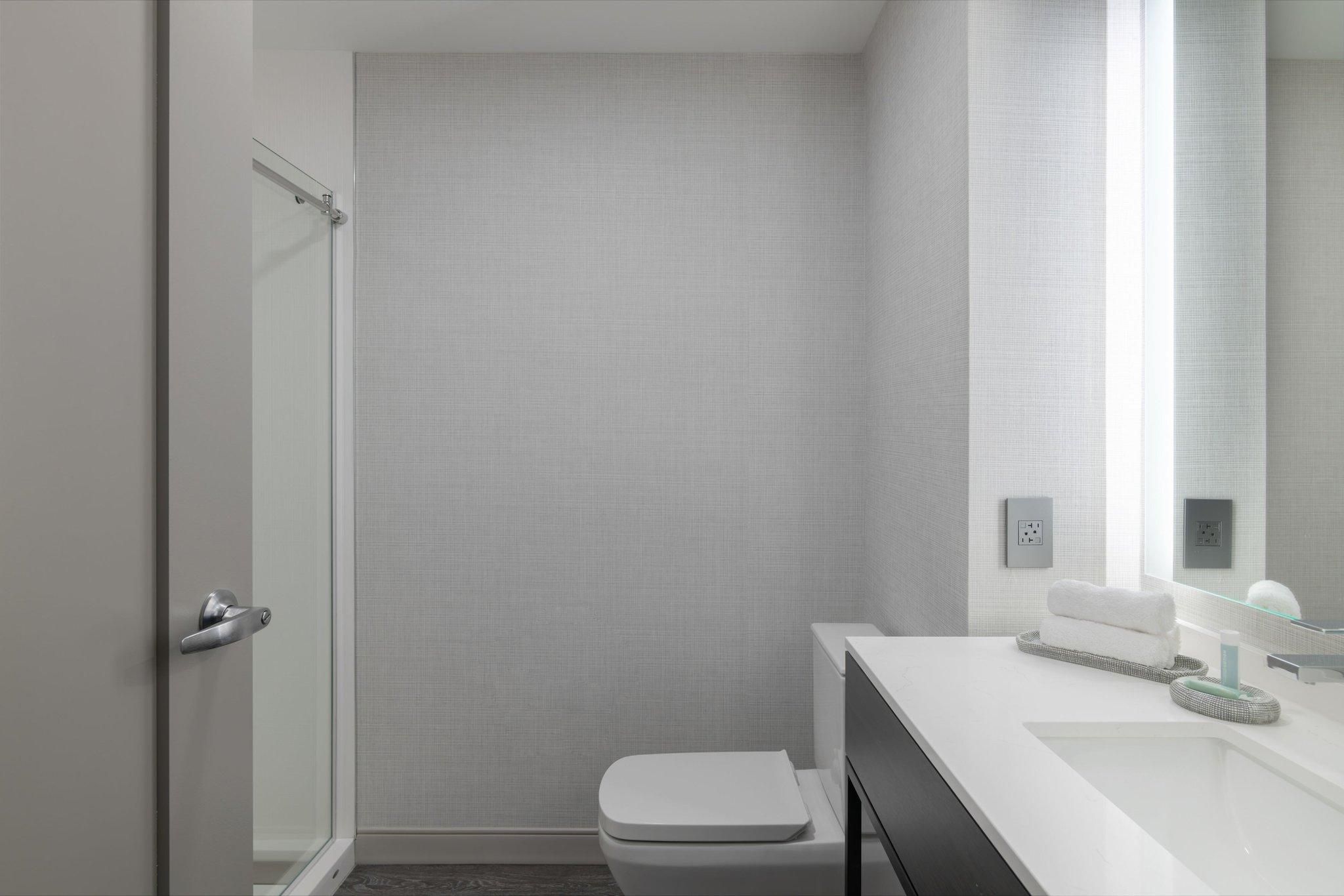 Suite With King Bed, 1 Bedroom Suite, 1 King, Sofa Bed