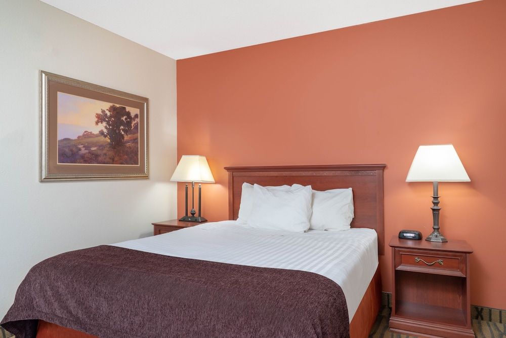 Basic Single Room, 1 Queen Bed