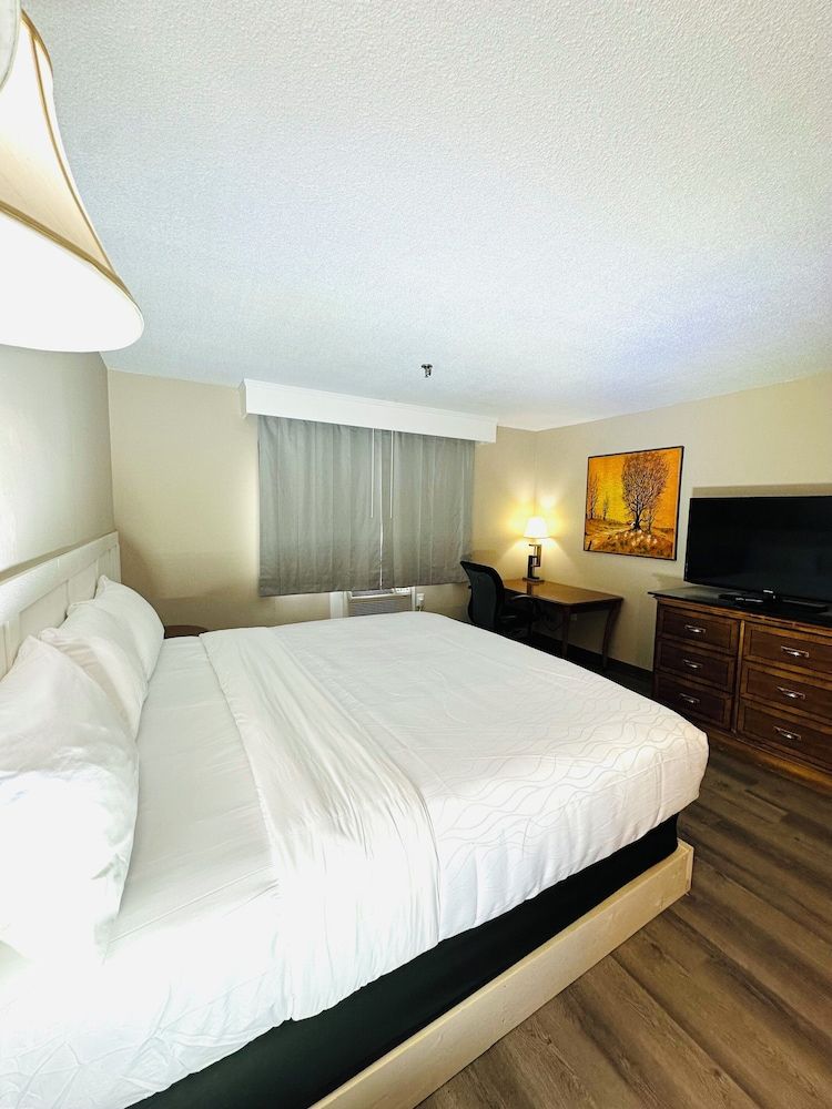 Presque Isle Hotel Standard Room, 1 King Bed 3