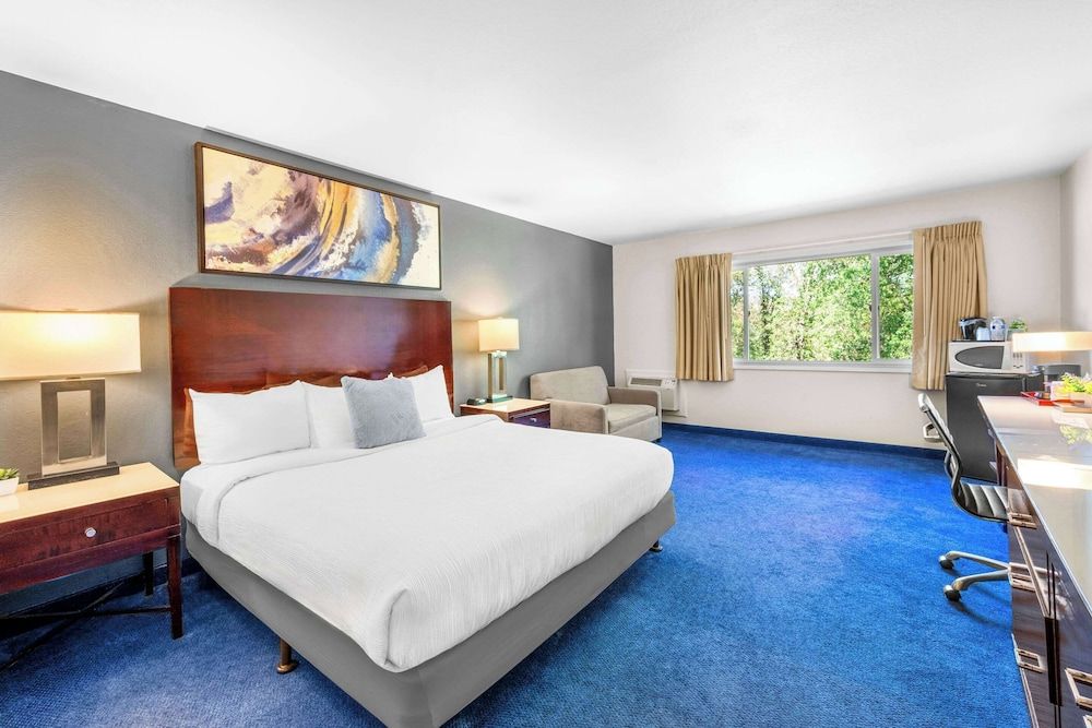 Room, 1 Queen Bed, Non Smoking (Efficiency)