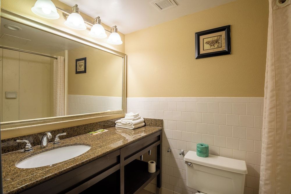 Dominion Inn & Suites Deluxe Single Room 9