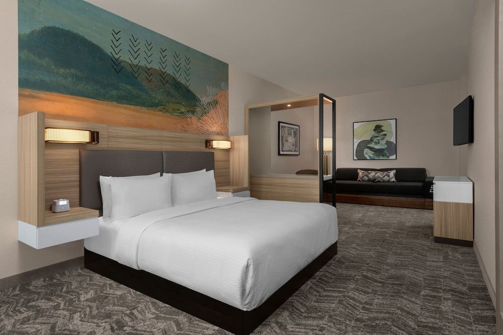 SpringHill Suites by Marriott Chula Vista Eastlake Studio Suite, 1 King Bed, Non Smoking 3
