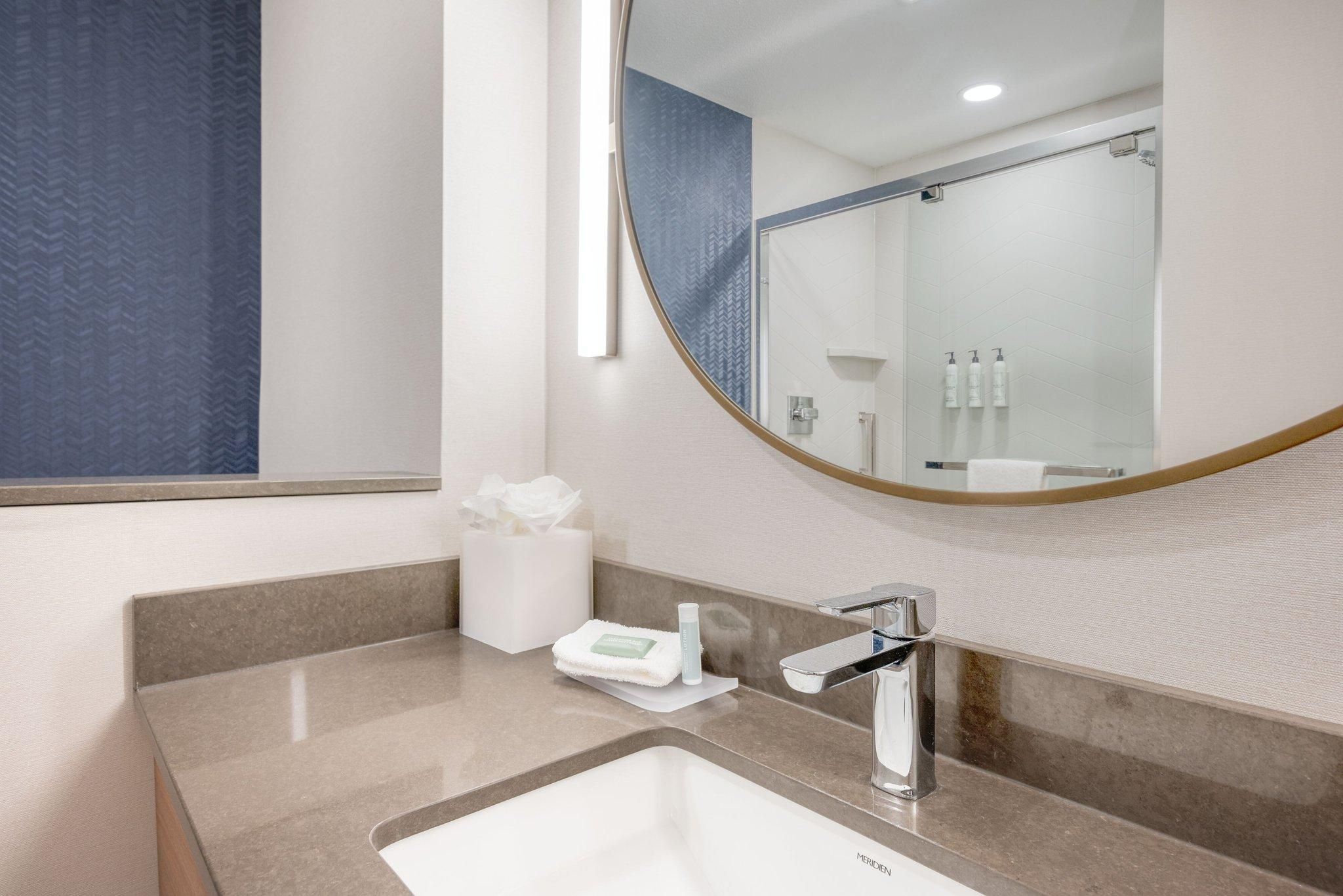 Suite, 1 King, Sofa bed