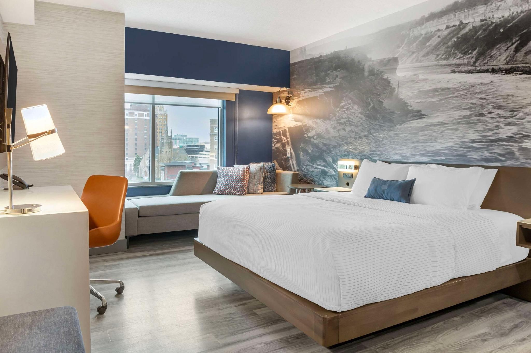 1 King Bed, Nonsmoking, Accessible