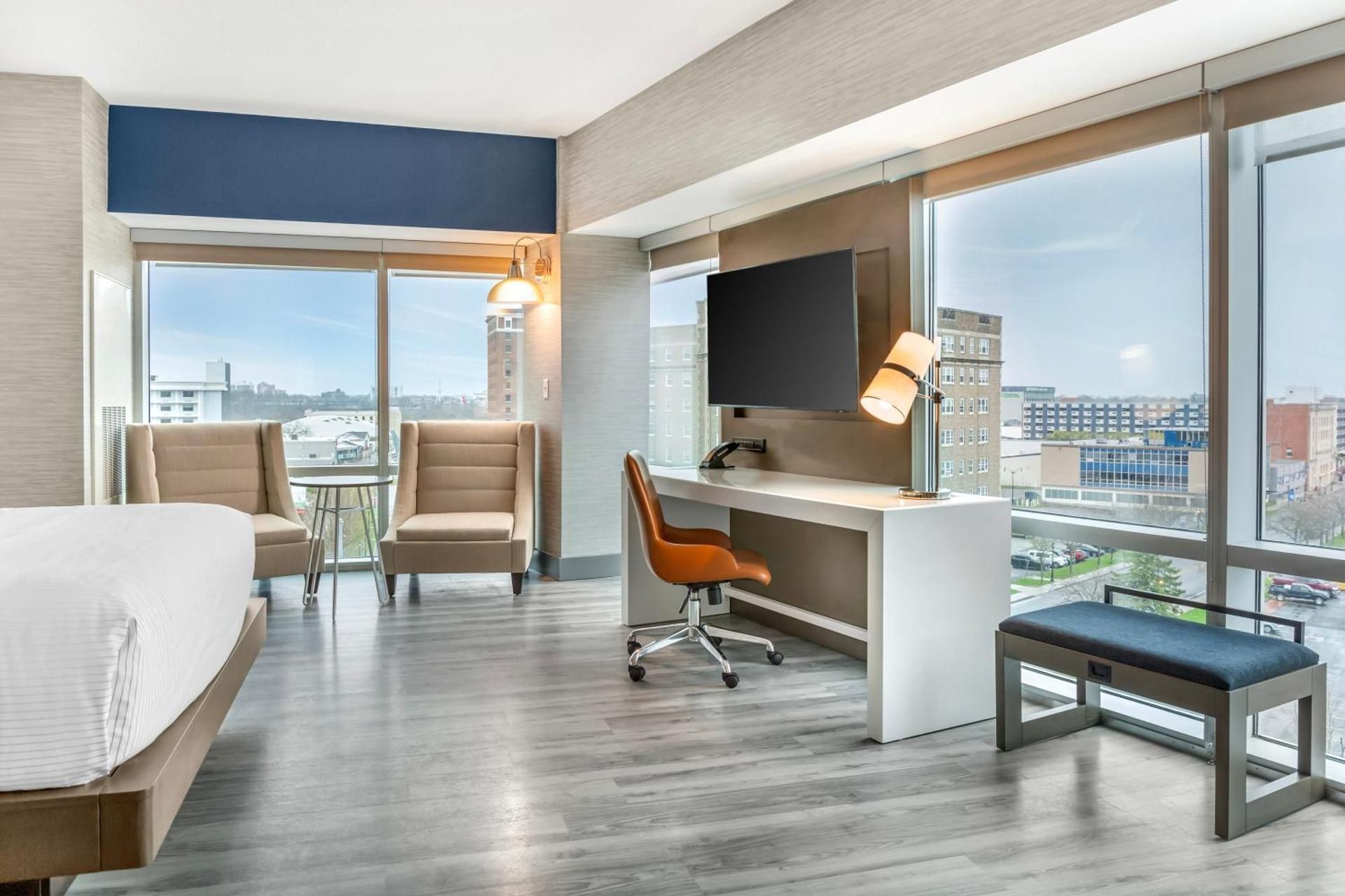 1 King Bed, Suite, Nonsmoking, Accessible