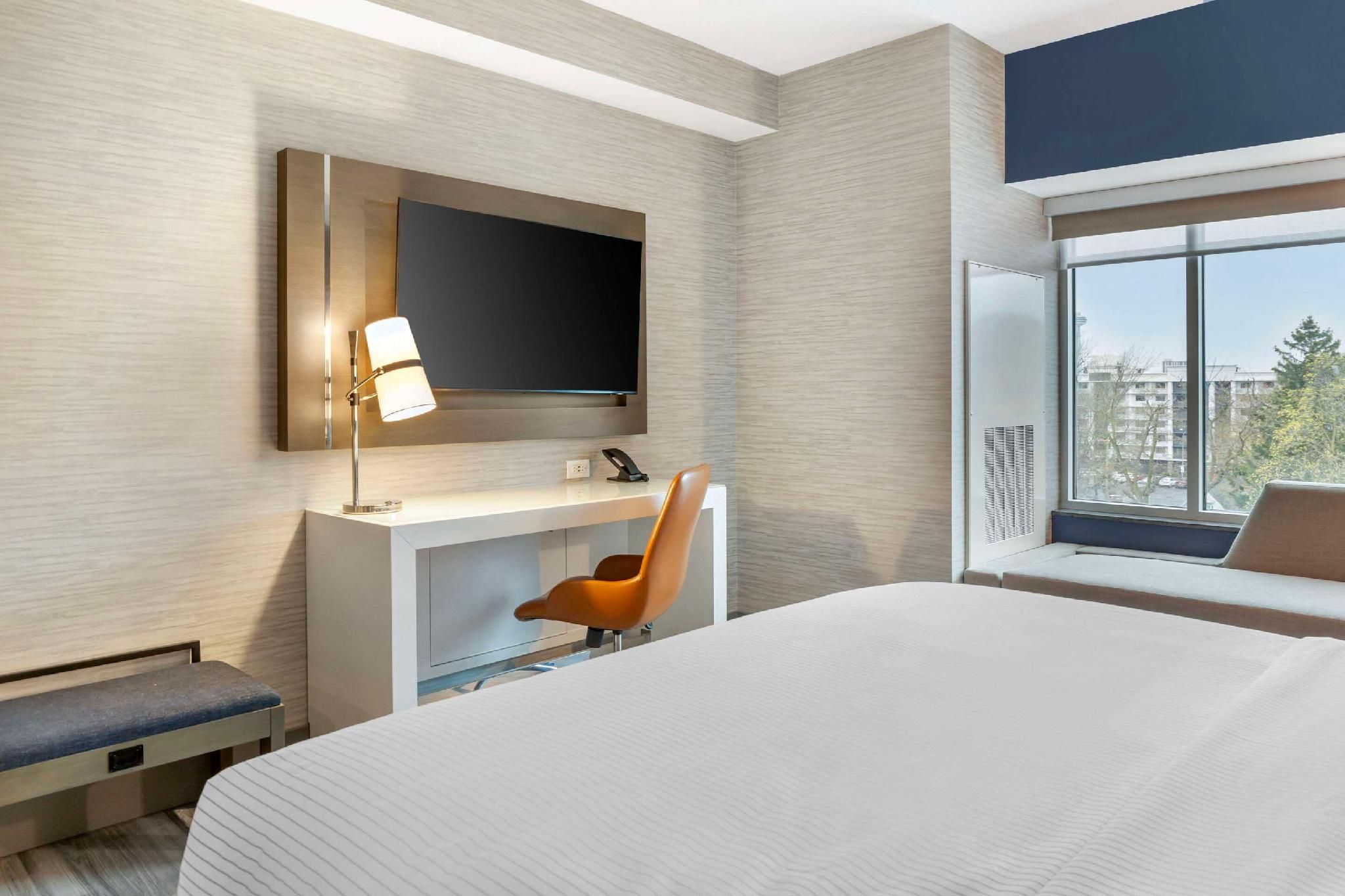 1 King Bed, Nonsmoking, Accessible