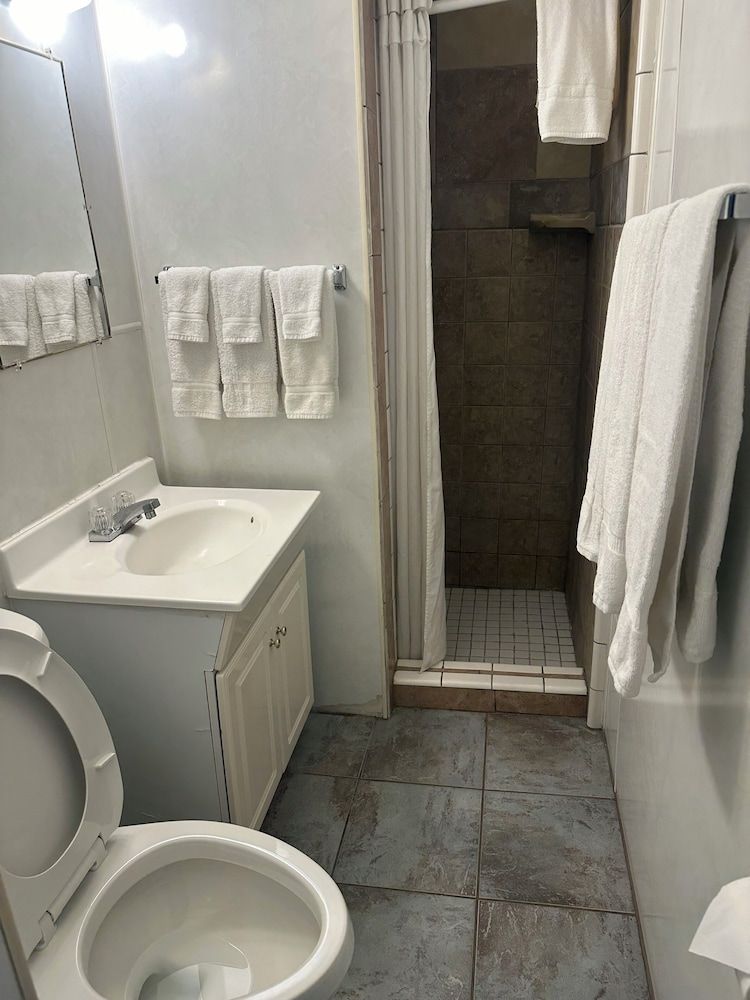 Grand Central Motel Premium Room, 1 Double Bed 3