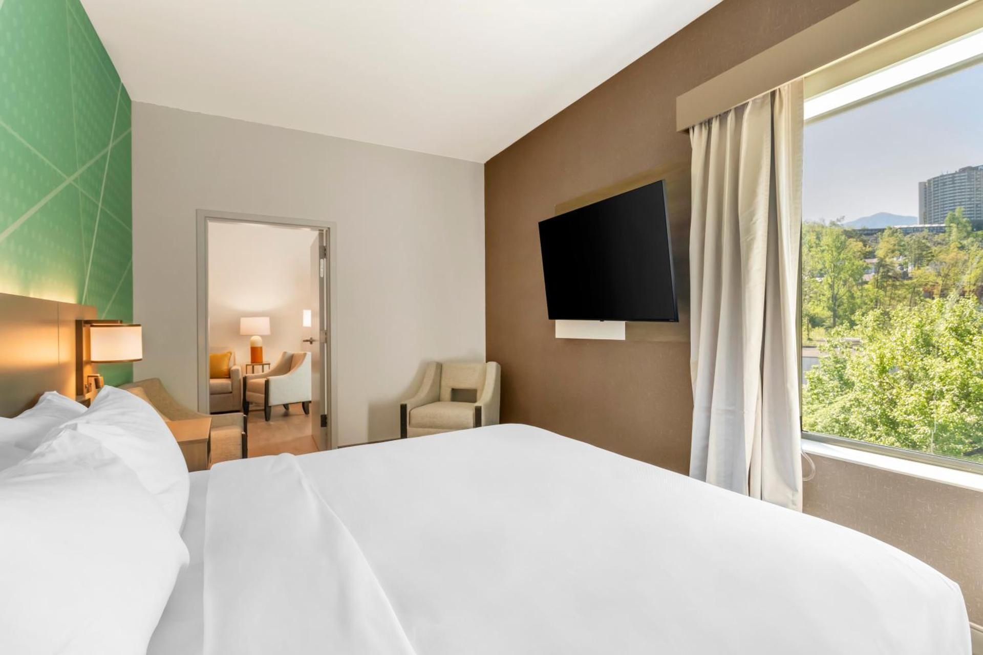 One Bed King Suite