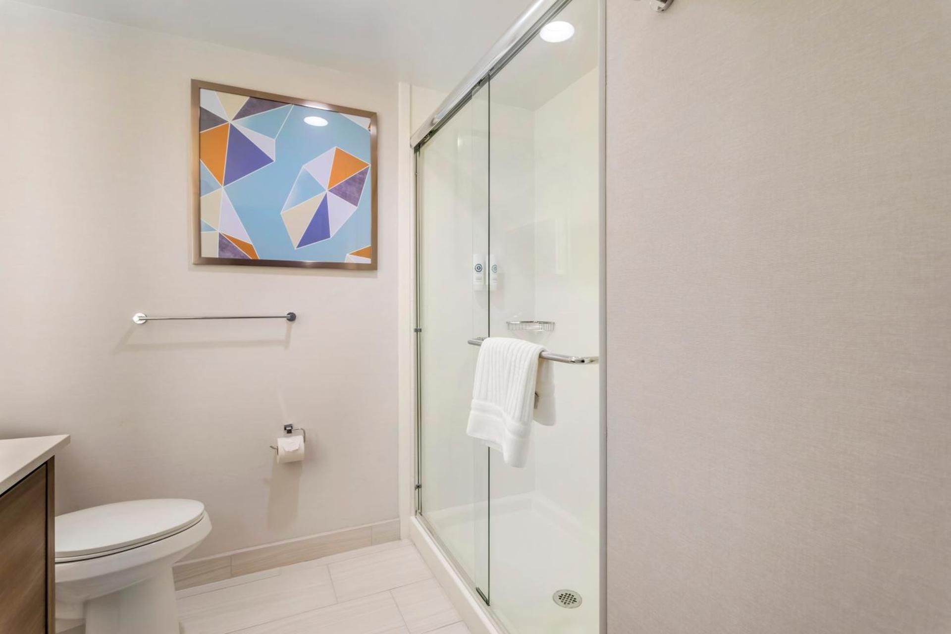 One Bed King Suite Handicapped Accessible Hearing