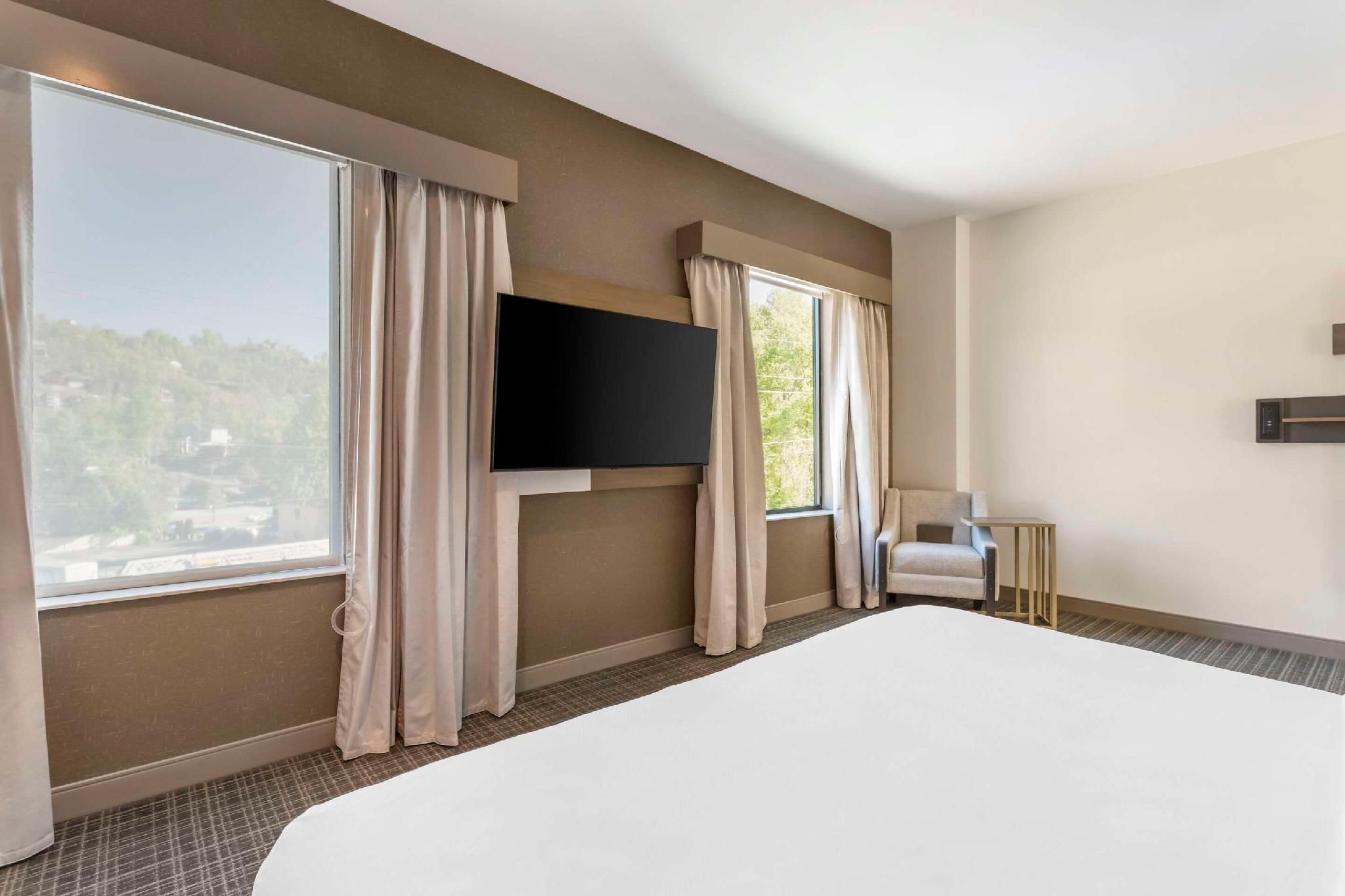 1 King Bed, 1-Person Sofabed, Non Smoking