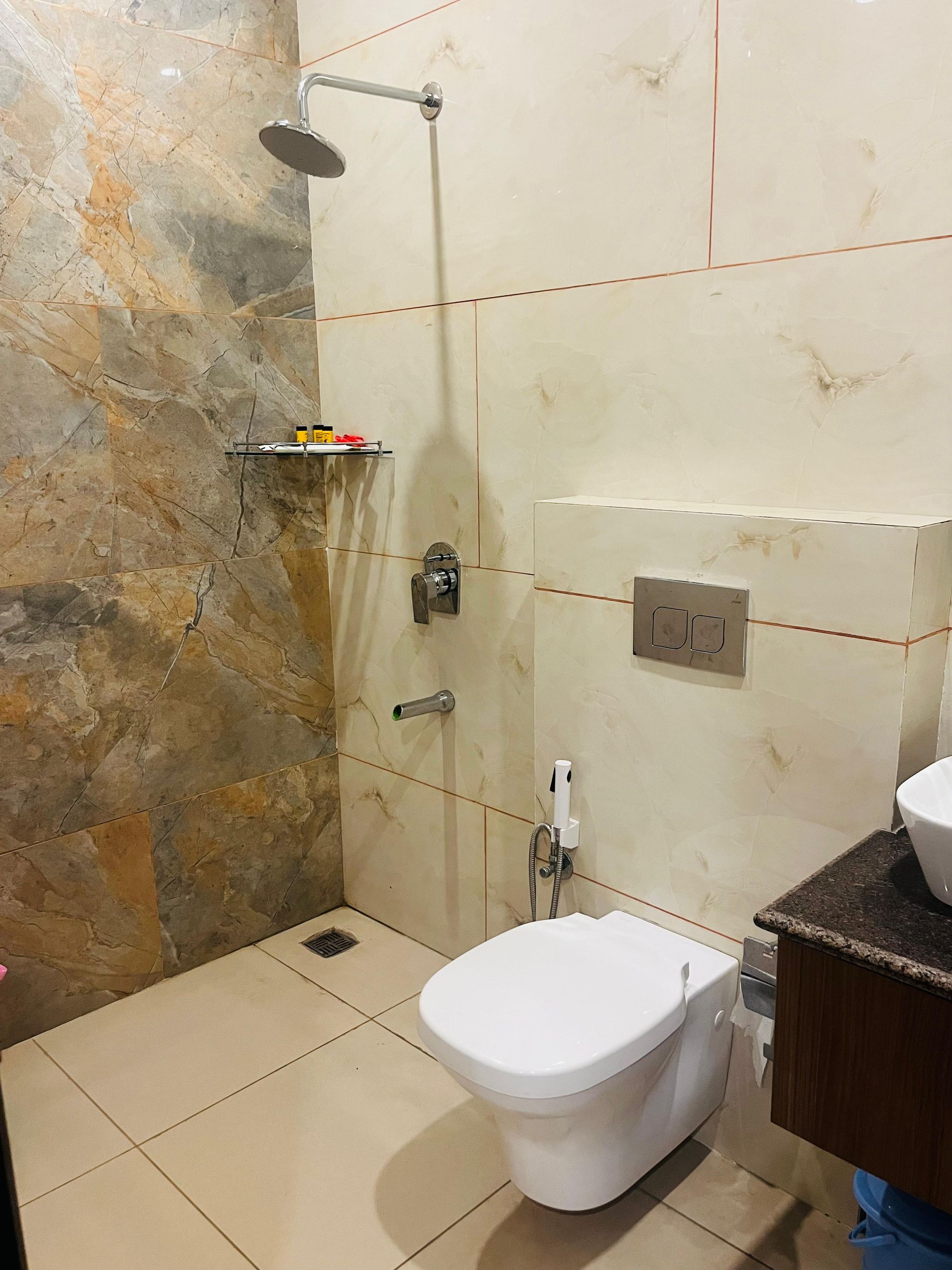 Hotel Andies, Mohali Deluxe Double Room  10