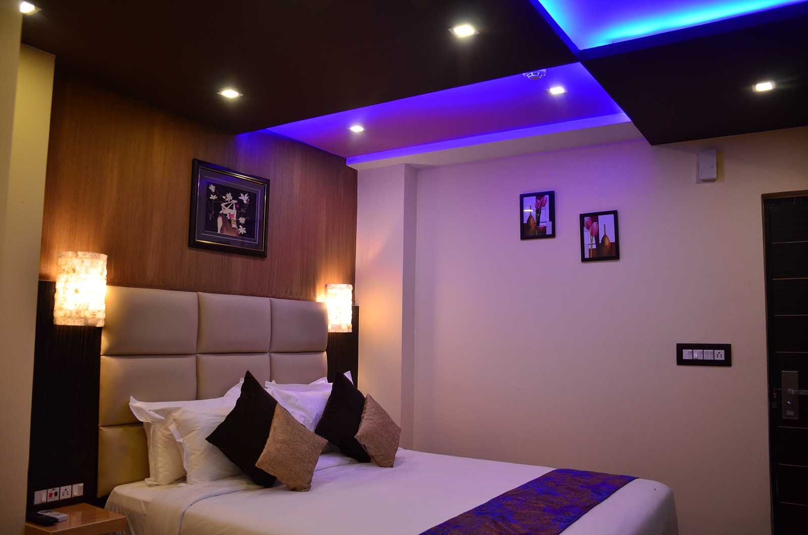 Dolphin Chocolate Inn Deluxe 6