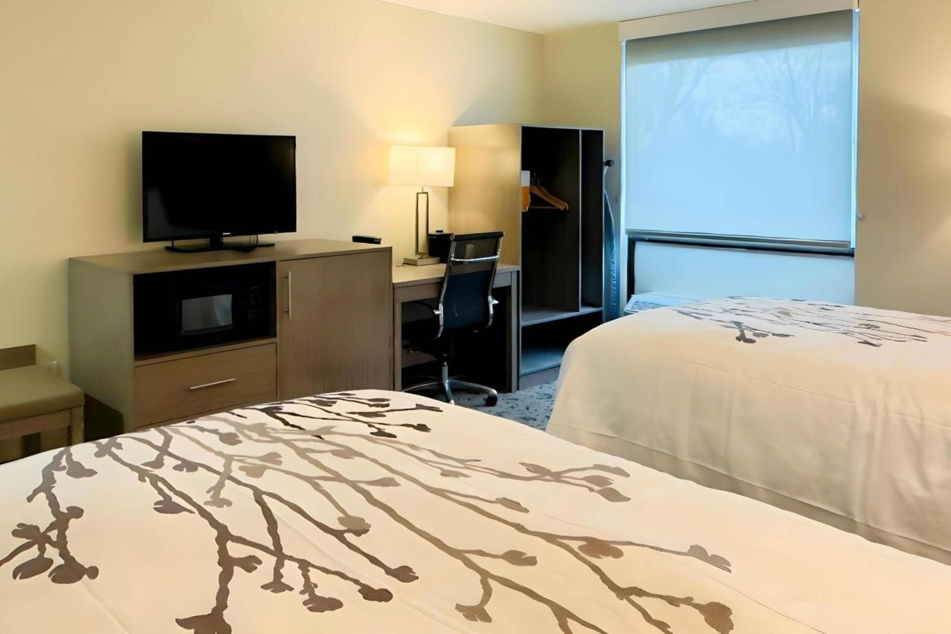 Quadruple Room - Non Smoking