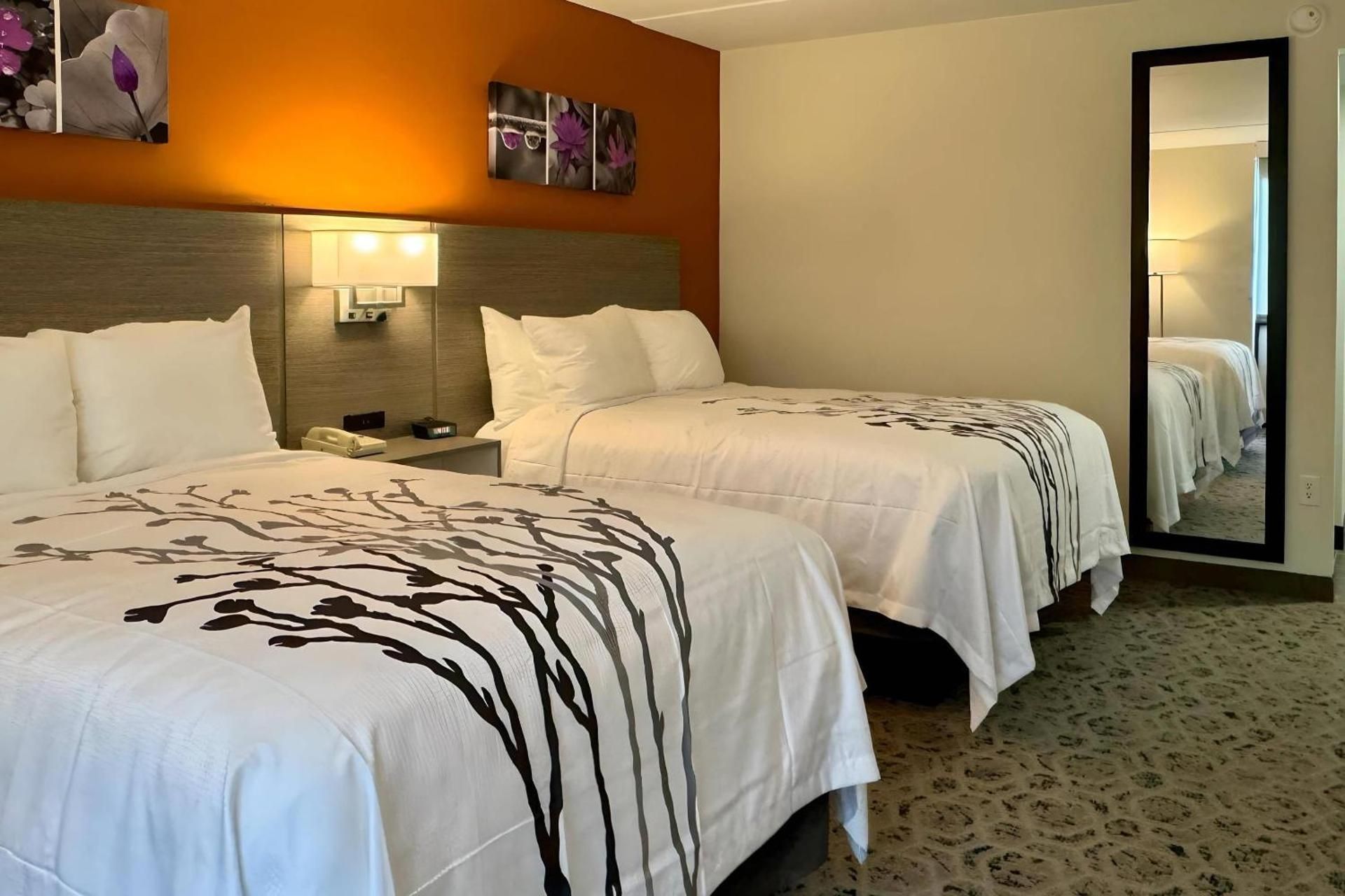 Quadruple Room - Non Smoking