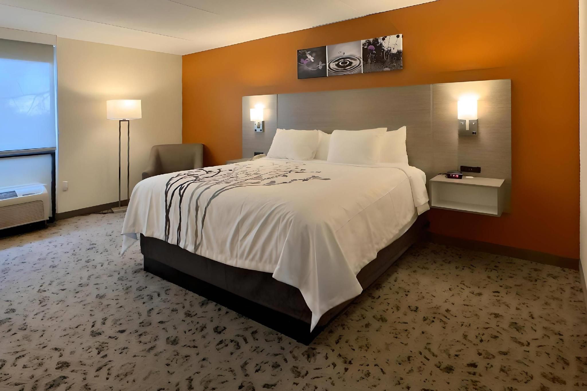 1 King Bed, Nonsmoking