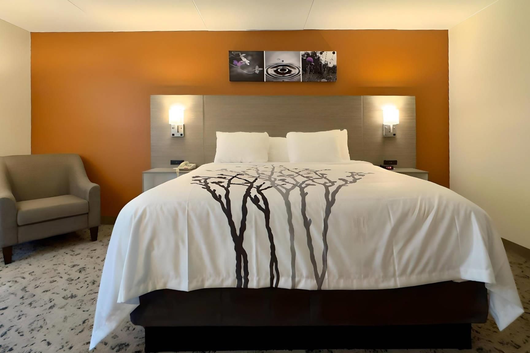 1 King Bed, Nonsmoking