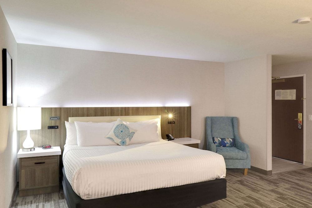 Suite, 1 King Bed with Sofa bed, Non Smoking