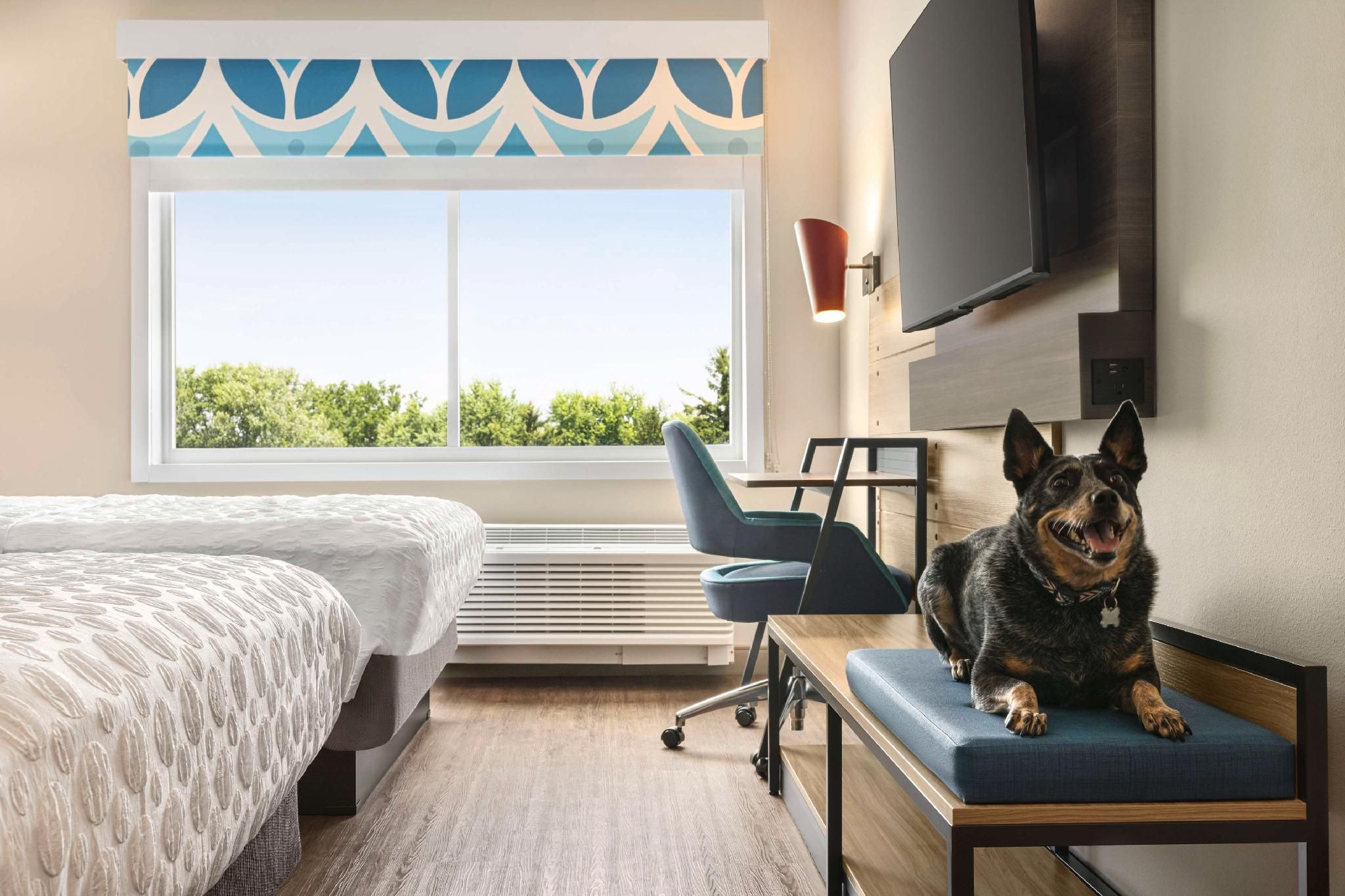 2 QUEEN BEDS W/WALK IN SHOWER