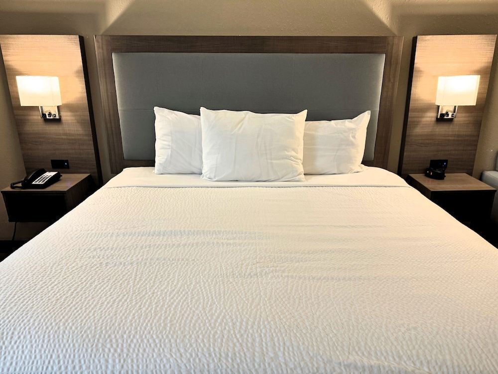 Room, 1 King Bed, Non Smoking