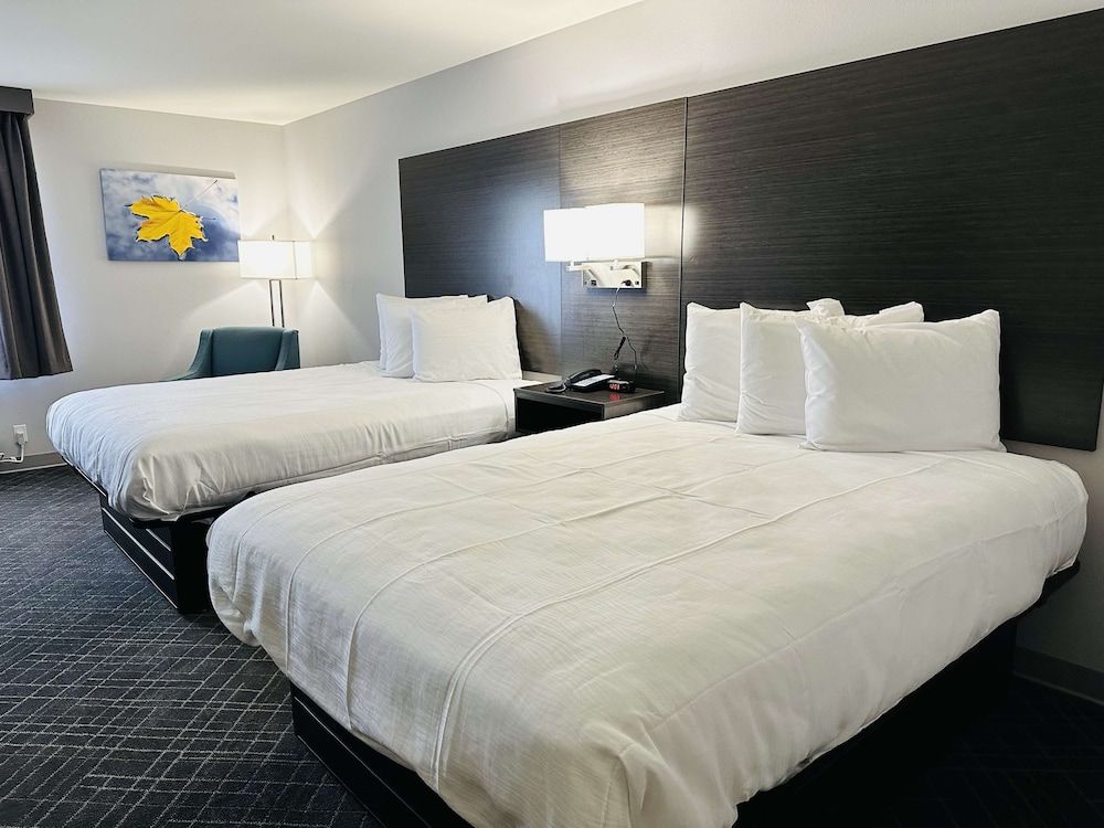 Standard Room, 2 Queen Beds, Non Smoking, Refrigerator & Microwave