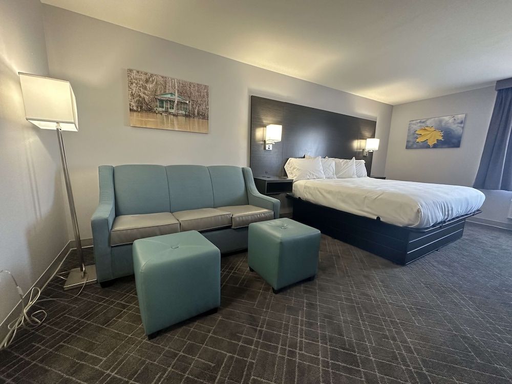 Standard Room, 1 King Bed, Non Smoking, Refrigerator & Microwave (with Sofabed)
