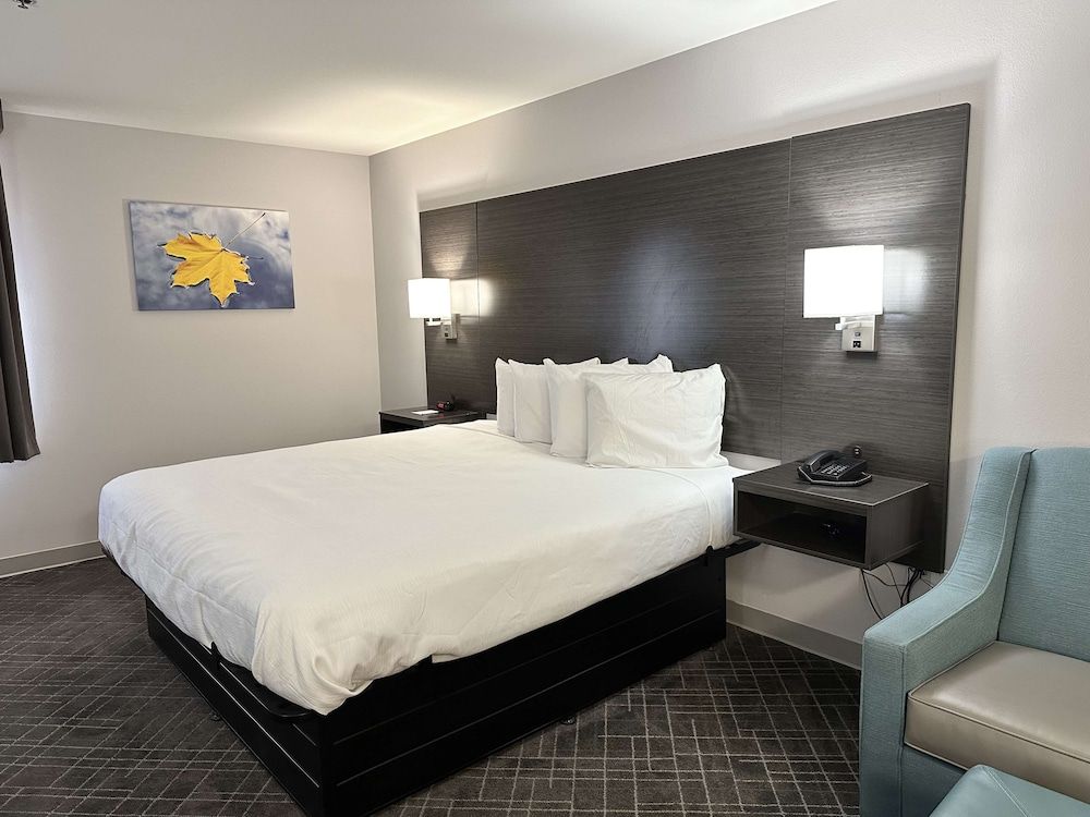 Standard Room, 1 King Bed, Non Smoking, Refrigerator & Microwave (with Sofabed)