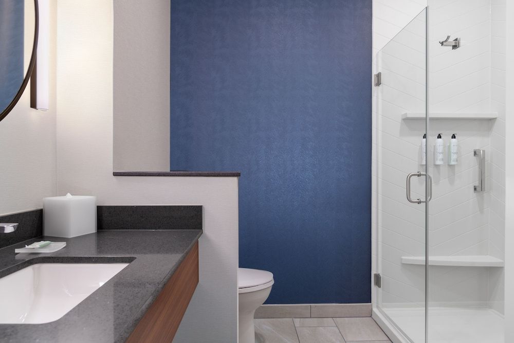 Fairfield Inn & Suites By Marriott Sioux Center Room, 1 King Bed, Non Smoking (Mobility Accessible, Roll-in Shower) 3